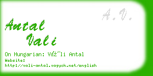 antal vali business card